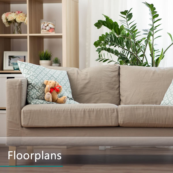 Spacious Floor Plans